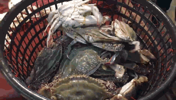微信图片_20190805162149.gif
