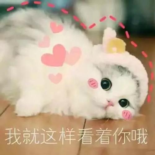 u=2879015725,3238941562&fm=26&gp=0.jpg