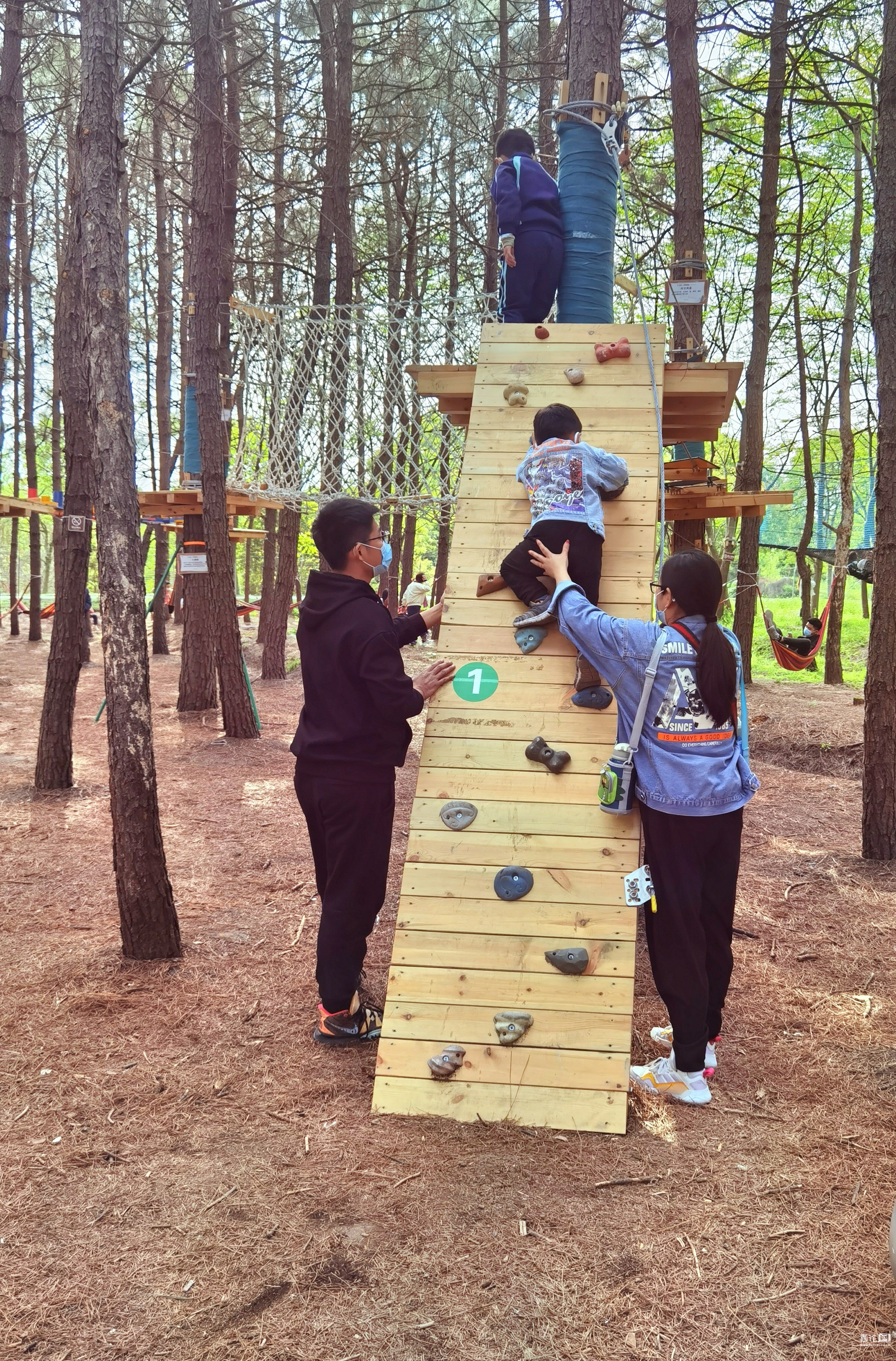 东部森林公园有一个森林部落 百姓话题 嘉论网 嘉兴人论坛