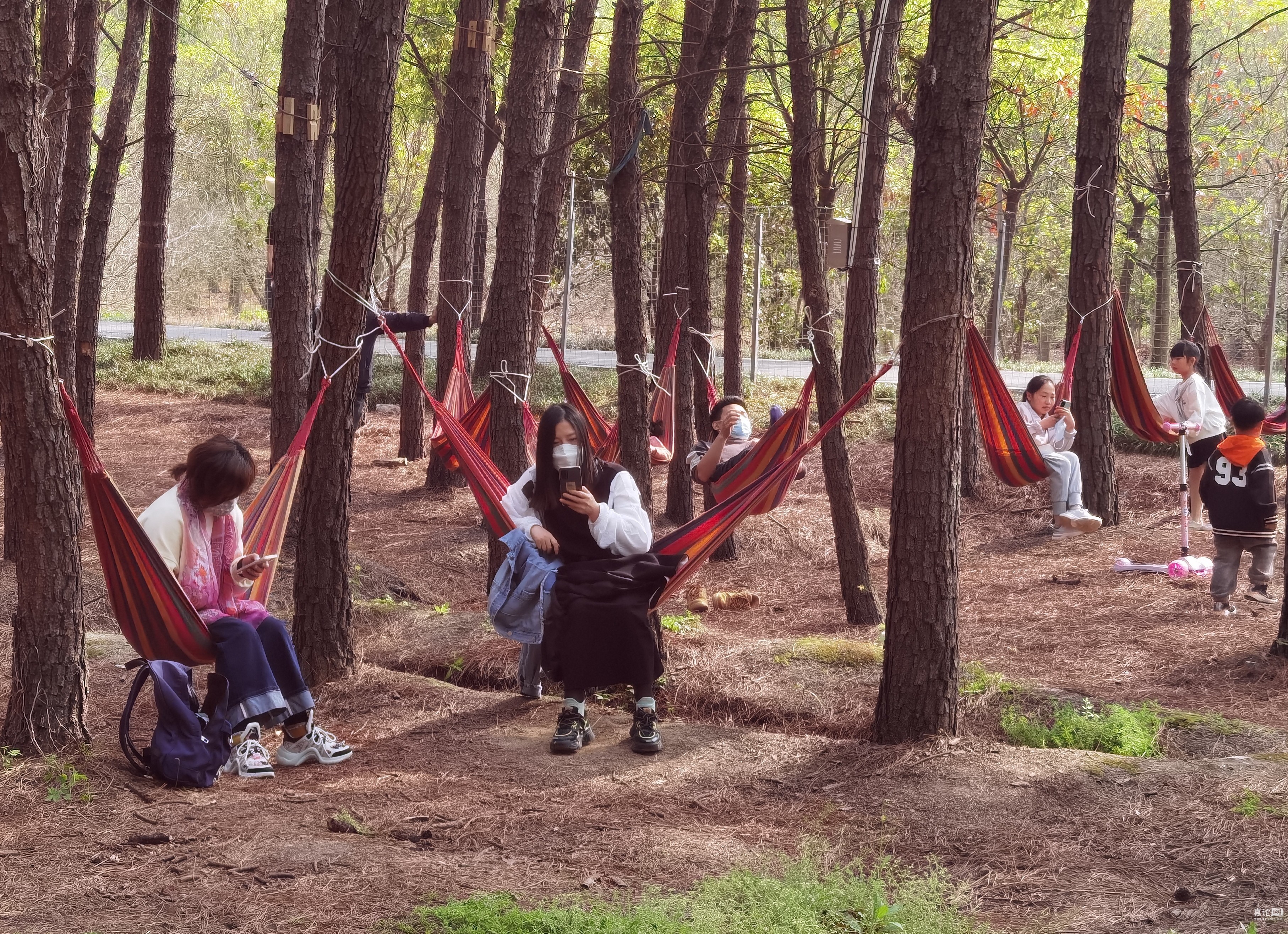 东部森林公园有一个森林部落 百姓话题 嘉论网 嘉兴人论坛