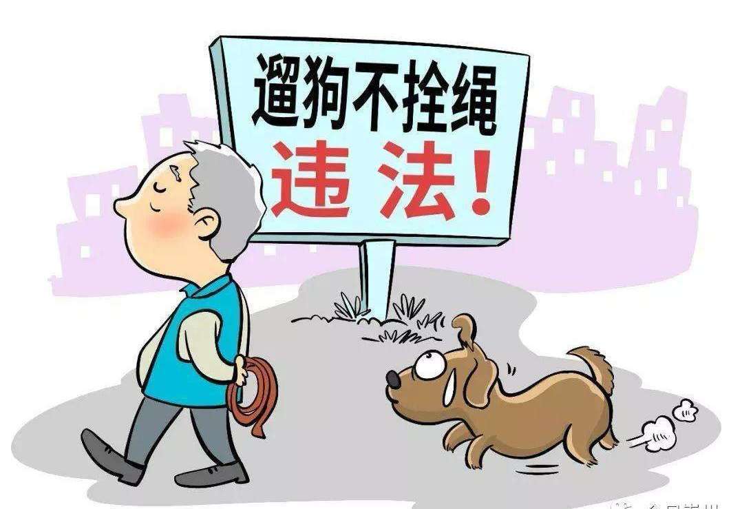 遛狗未拴绳致人死亡主人被判赔44万元